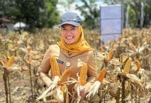 Terkait Dugaan Selingkuh Stafnya, Kadis Pertanian Angkat Bicara