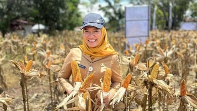 Terkait Dugaan Selingkuh Stafnya, Kadis Pertanian Angkat Bicara