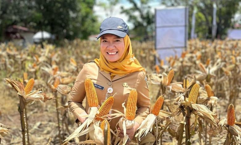 Terkait Dugaan Selingkuh Stafnya, Kadis Pertanian Angkat Bicara